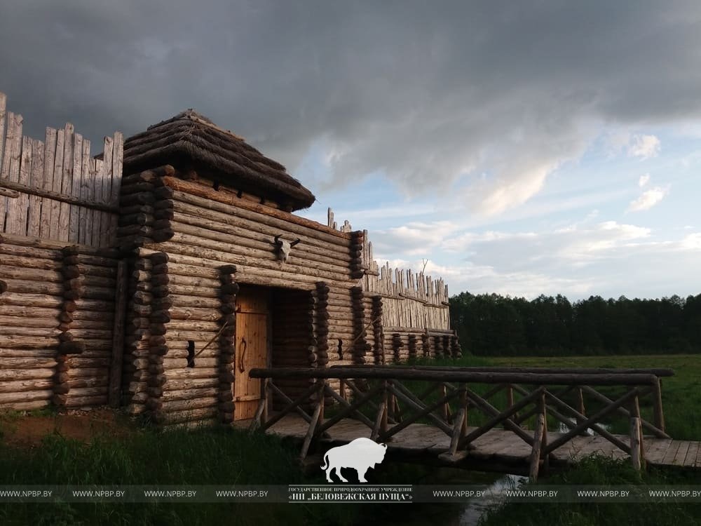 В Беловежской пуще построят древнегерманское подворье и славянскую деревню