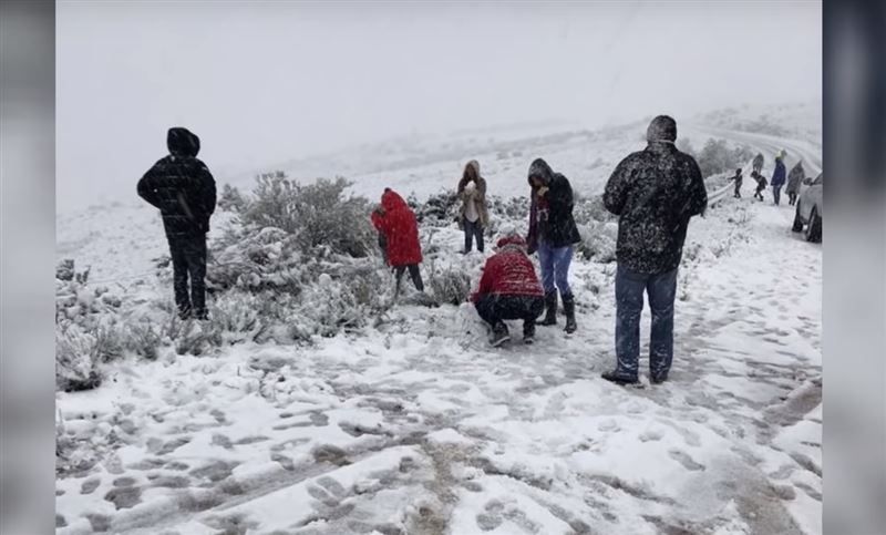 В Южной Африке выпал снег (видео)