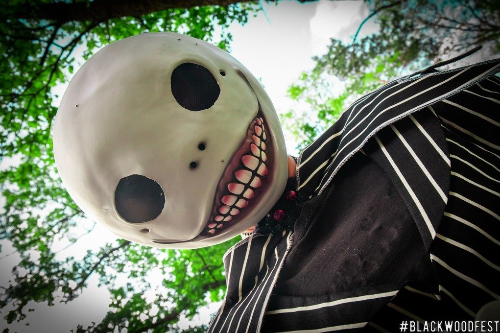 Под Гомелем пройдет рок-фестиваль BlackWood. Программа, карта, билеты