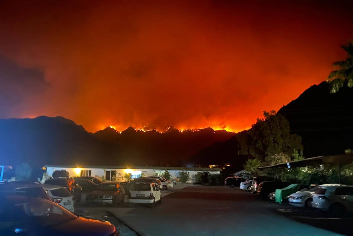 Ситуация с лесными пожарами в Турции стабилизируется