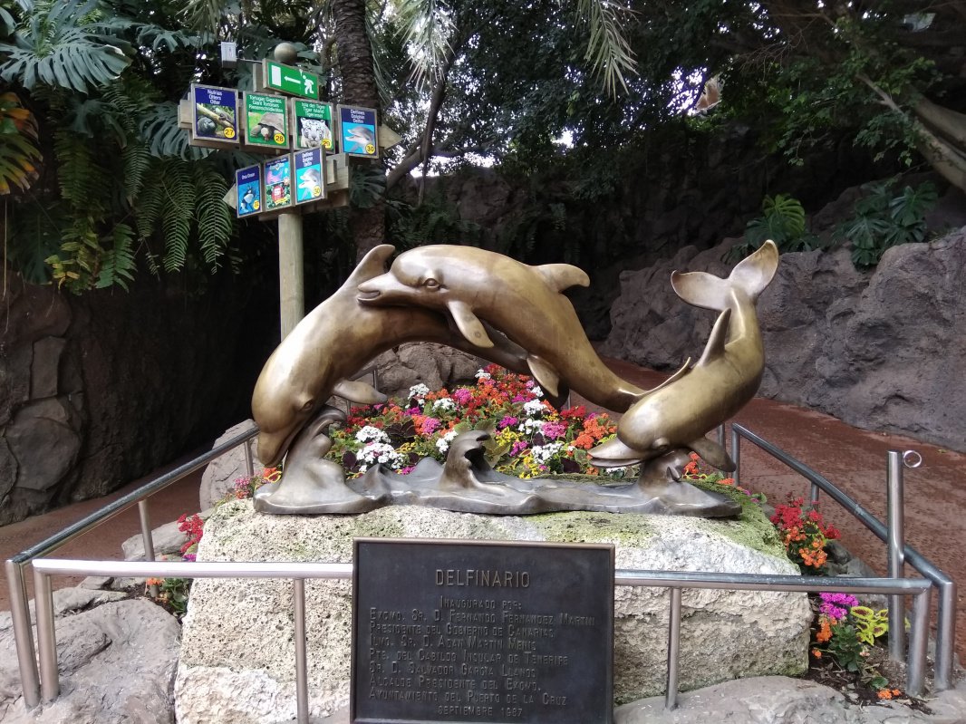 Лоро Парк – животные со всего мира на Тенерифе