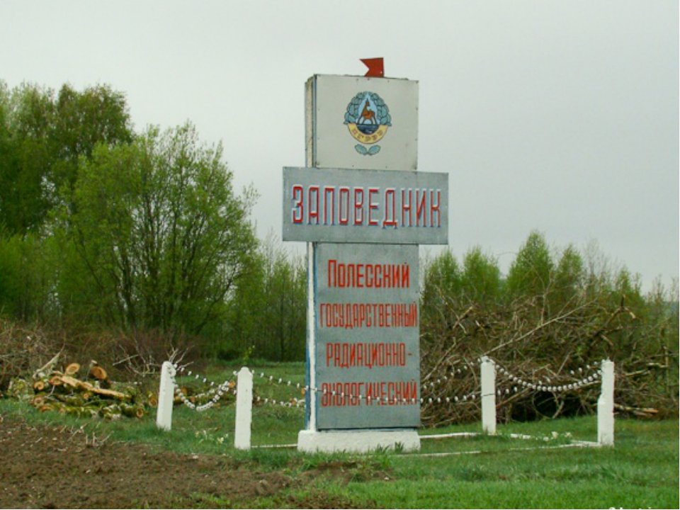 Нацагентство приглашает на семинар на территорию Полесского радиационно-экологического заповедника