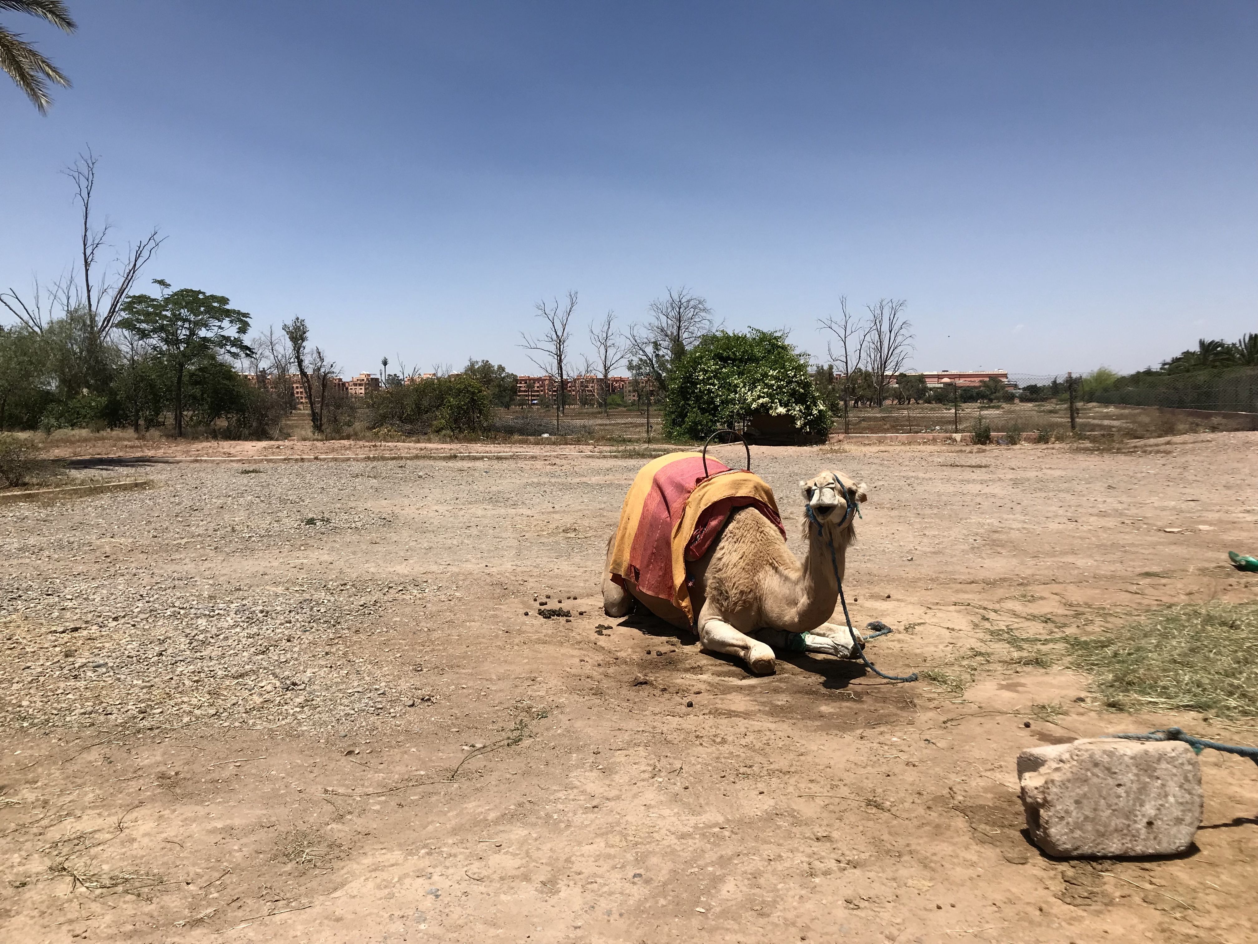 В Марокко самостоятельно: организация и подводные камни