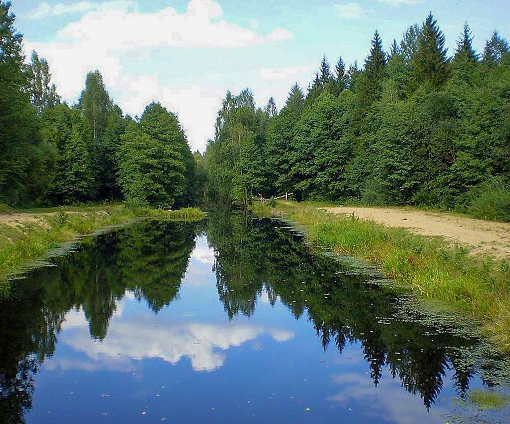 В июне туристов пригласят в «Музей міфічных істот»