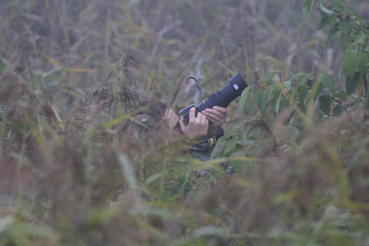 6 октября в Минске пройдёт чемпионат по фотобердингу
