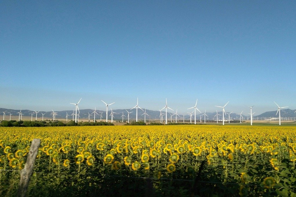 Беларусь на 77 месте в рейтинге экологически неблагополучных стран