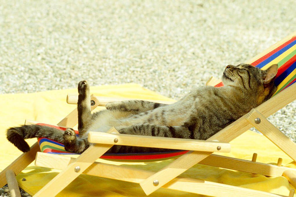 Совмин собирается узаконить онлайн продажу туров в Беларуси