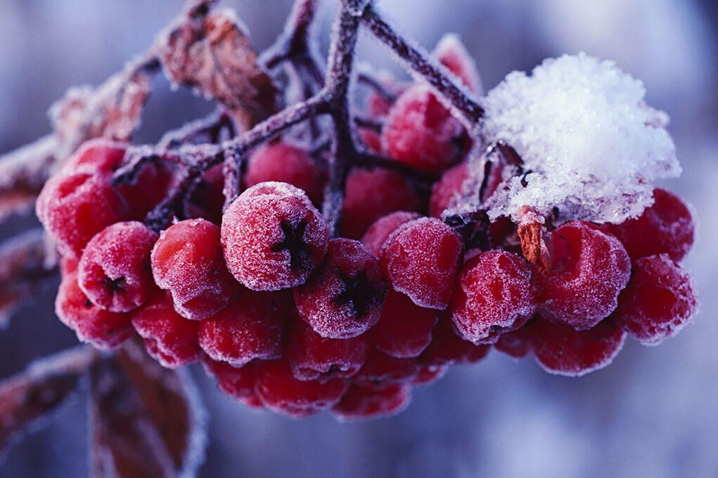 Выходные: готовимся к свадьбе, идем в театр и выбираем подарки  