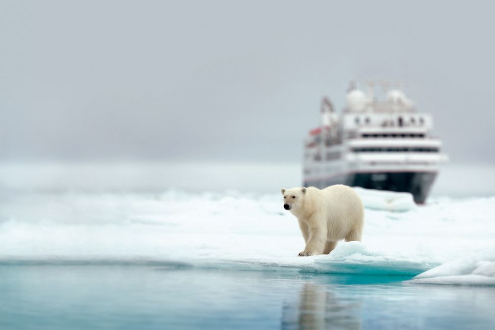 Арктика, Австралия и «кругосветка»: какие необычные круизы предлагают белорусам?