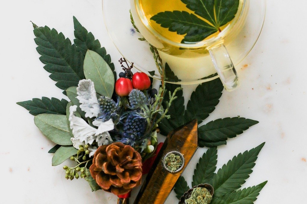 Новые заведения Минска: синий чай, крафтовое пиво и кофе в воронке V60 