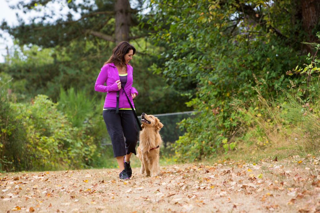 В каких усадьбах и гостиницах можно отдохнуть с домашними животными