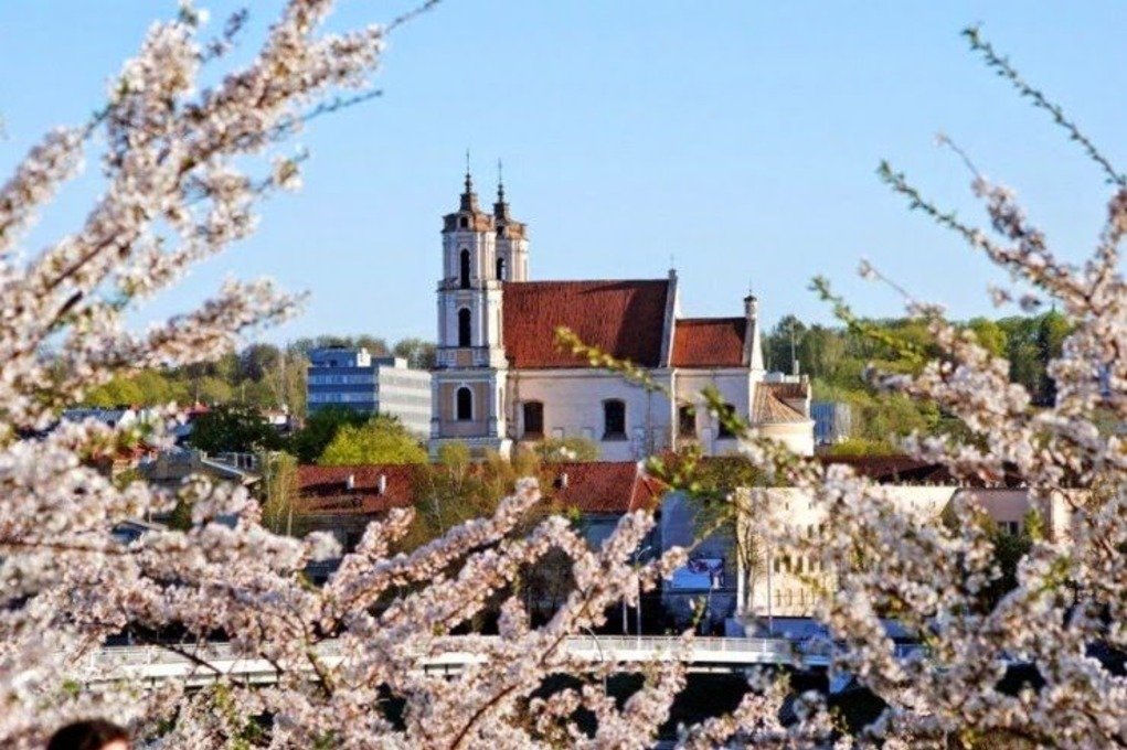 Весна 2019 в Вильнюсе: едем на лучшие фестивали и выставки