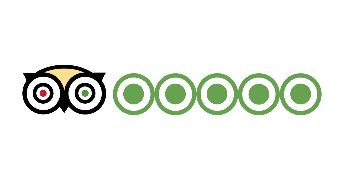 TripAdvisor оштрафовали за фейковые отзывы об отелях