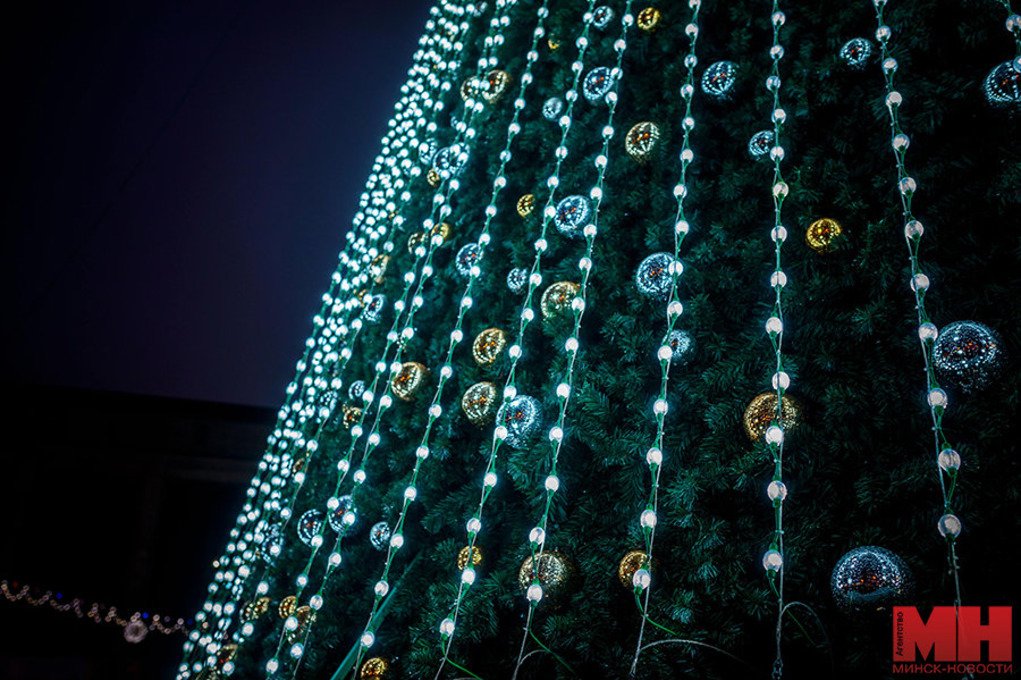 На главной ёлке Беларуси зажгли иллюминацию