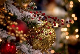 Новогодние приключения в Ботаническом саду 2020