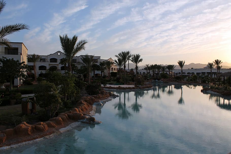 В какие сроки пройдет реновация отелей Египта