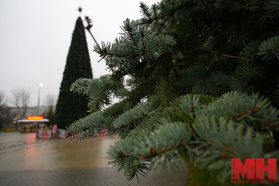 В Минске установят 31 новогоднюю ель. Показываем, где уже начали установку