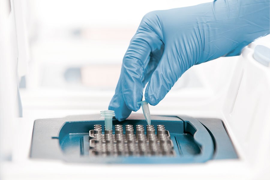 Результат ПЦР-теста в Минске можно получить в день сдачи