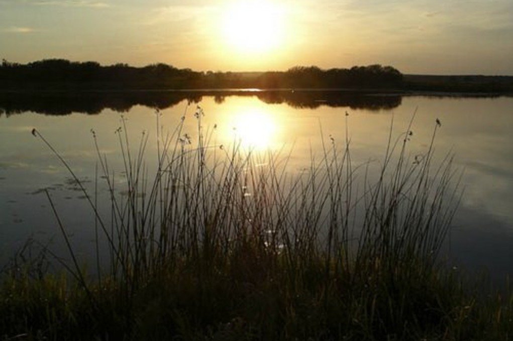 В Гомельской области проведут фестиваль туристических объектов