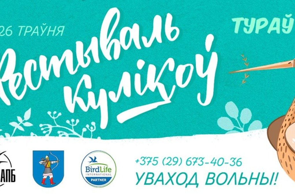 В Турове пройдёт бесплатный «Фестываль кулікоў»