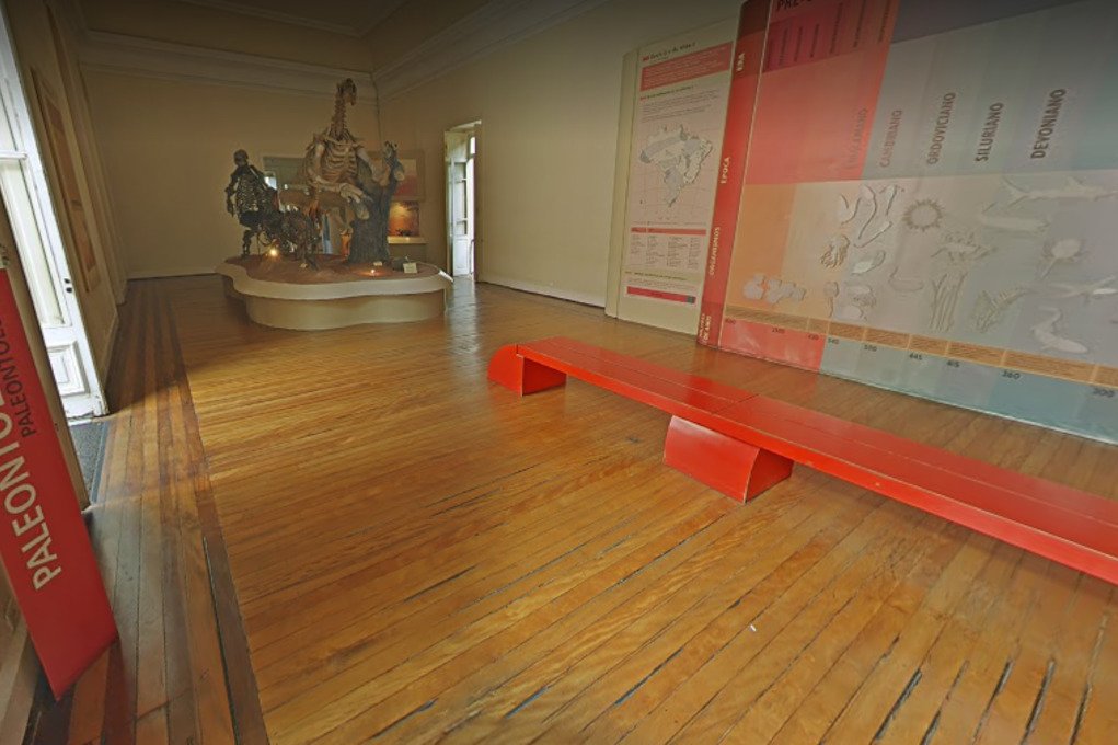 Google запустил виртуальный тур по коллекциям сгоревшего музея