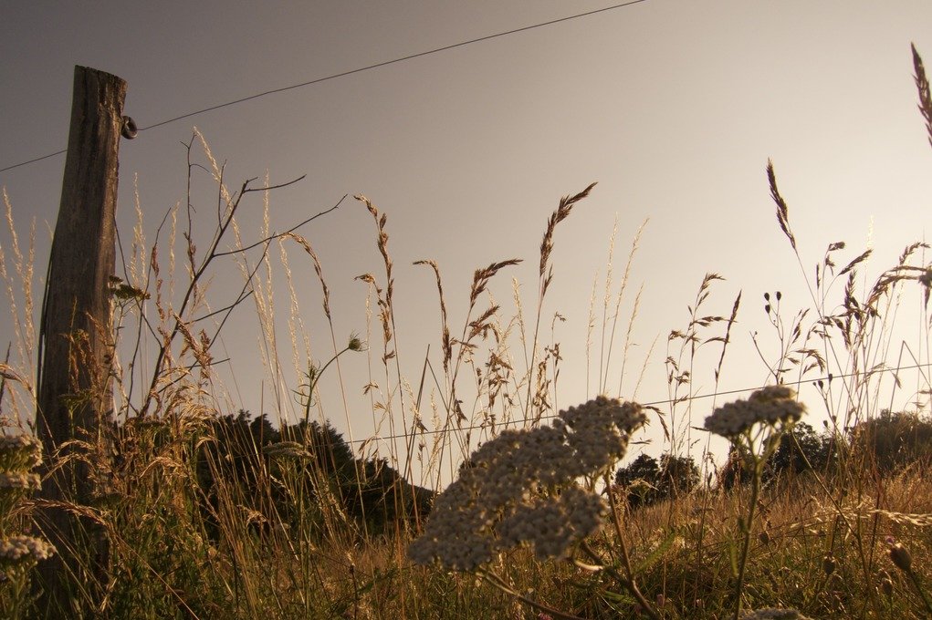 Что изменит соглашение о взаимном признании виз с Россией?