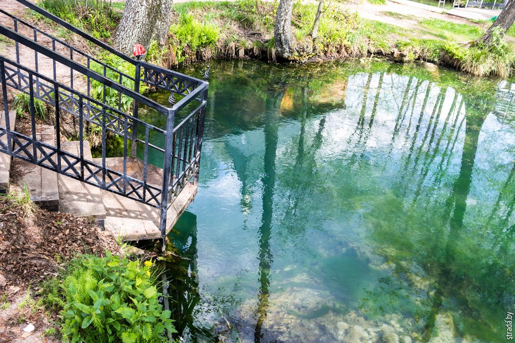 Голубая криница под Славгородом: в очереди за исцелением