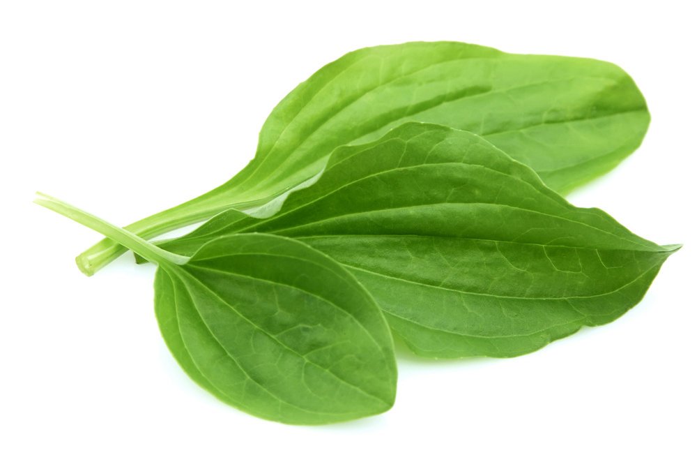 РСТО предлагает пакет мер по спасению туристической отрасли