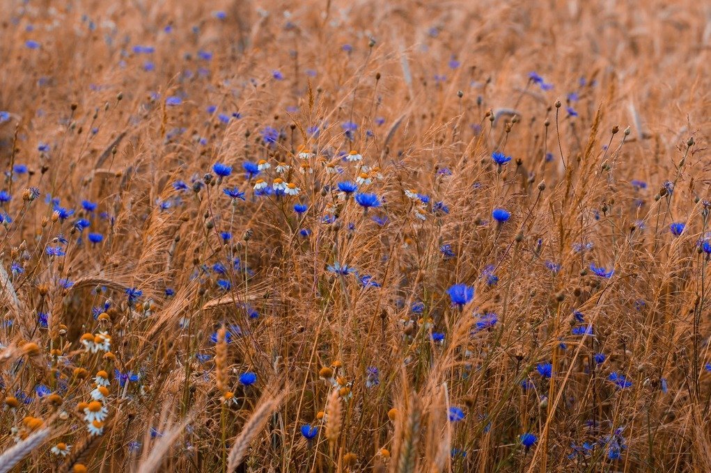 Запущено голосование за лучшую концепцию турбренда Беларуси