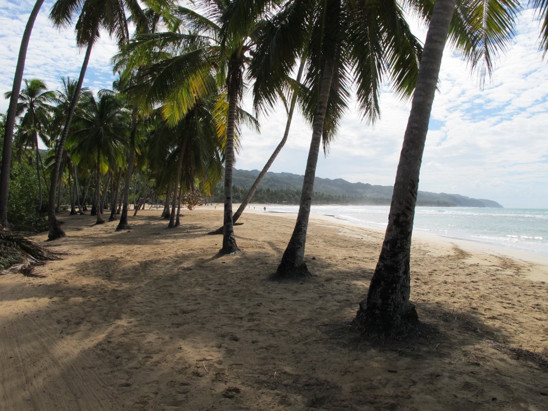 Доминикана закрывает границы на 15 дней