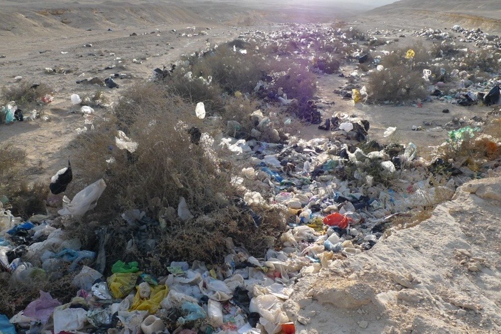 В Хургаде запретили одноразовый пластик