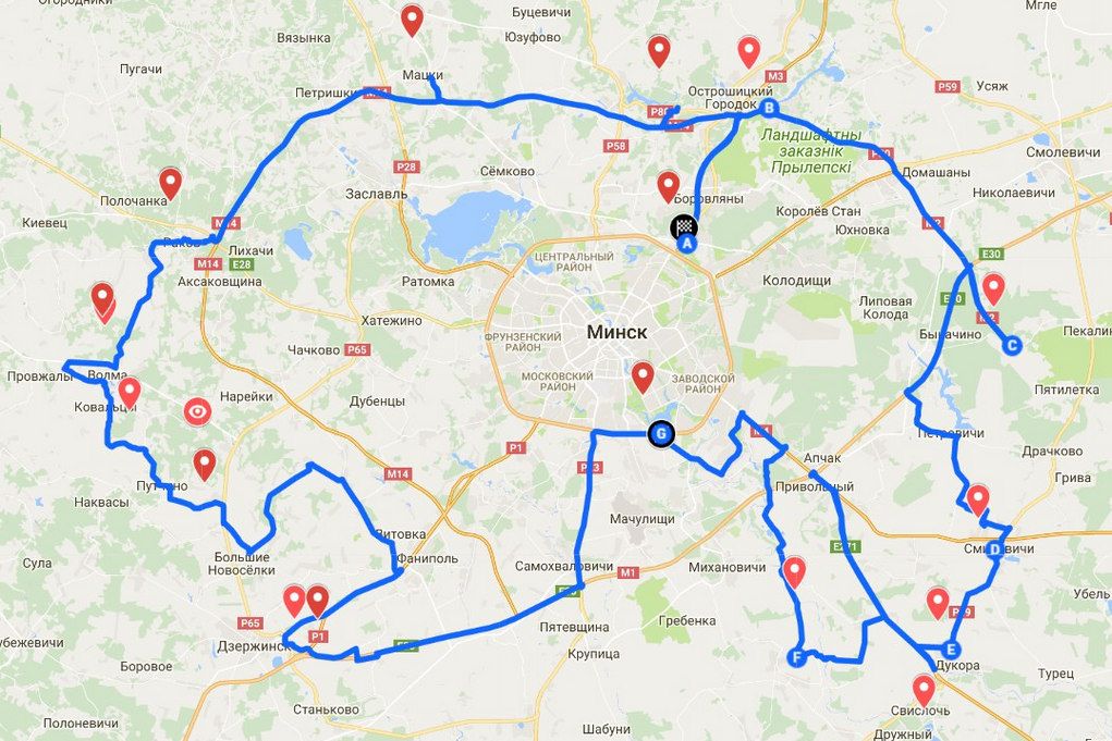 В Беларуси создан турмаршрут в виде зубра