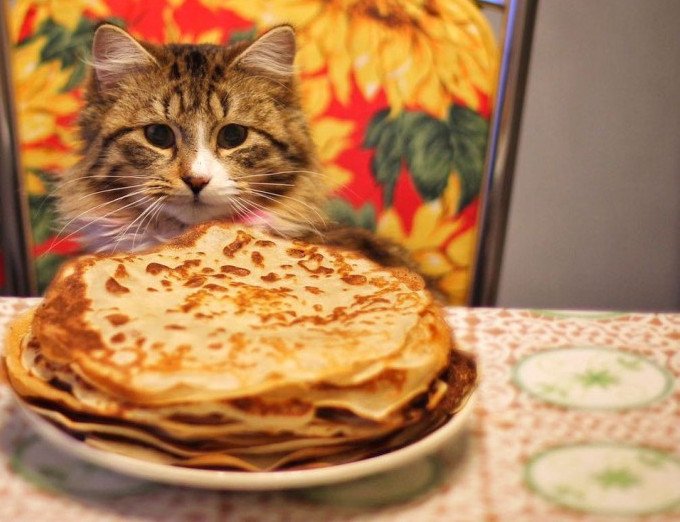 Гуляй, Масленица 2020 | Дукорскі маёнтак