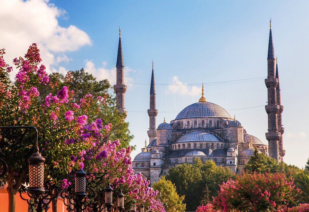 Turkish Airlines даст бесплатный отель при пересадке в Стамбуле
