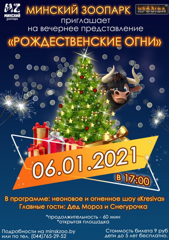 Рождественские огни в Минском зоопарке 2021