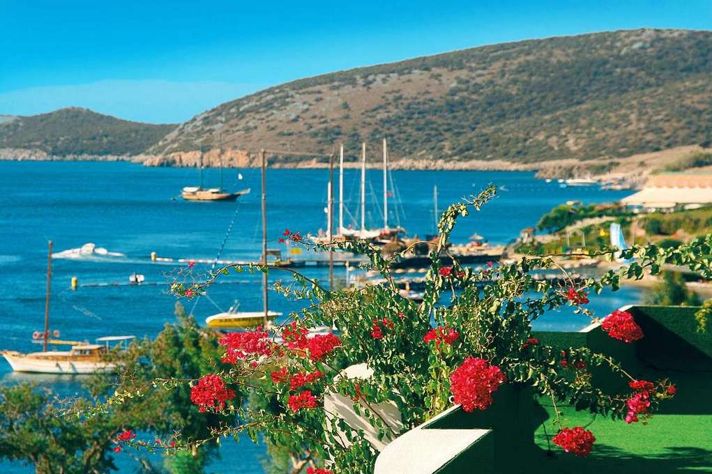 Ирина КРАЙНЕВА: «От туров в Бодрум никто не отказывается!» 