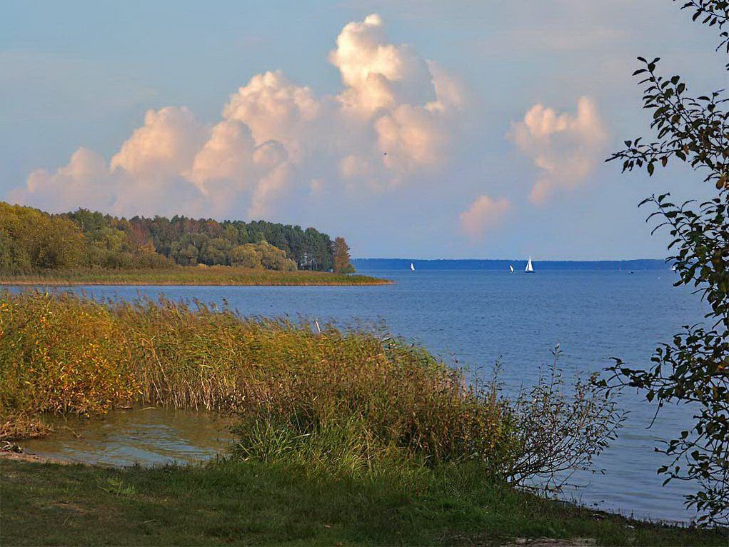 Лето на носу. Готовы ли к сезону места отдыха?