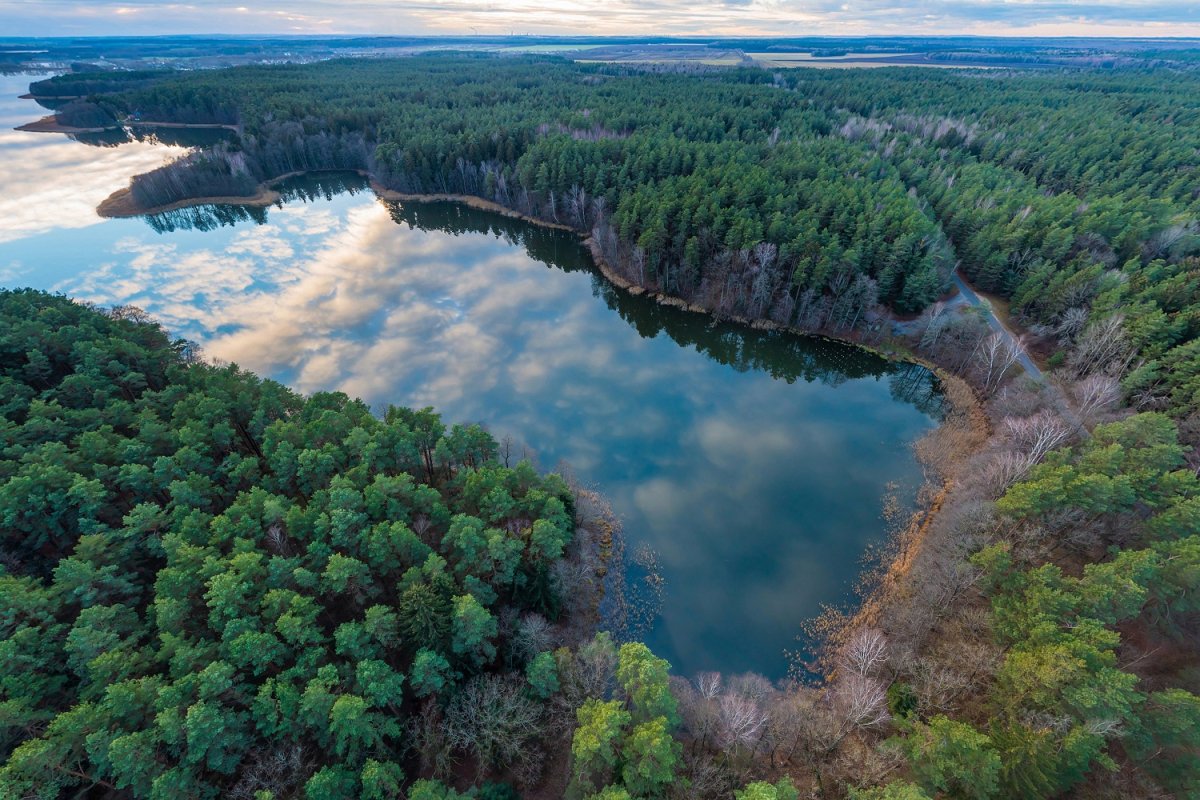 Белорусские заказники «Налибокский», «Озёры» и «Освейский» теперь можно посетить в онлайн-формате