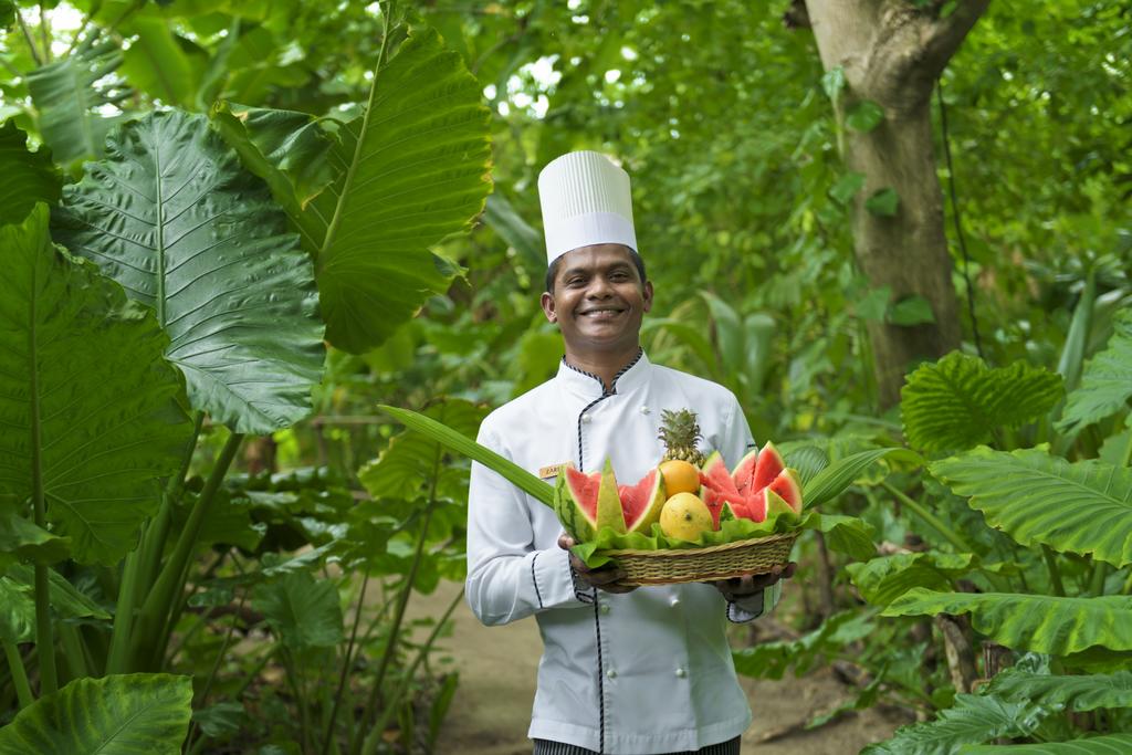 Зимний отдых на Мальдивах: подборка хороших отелей с актуальными ценами