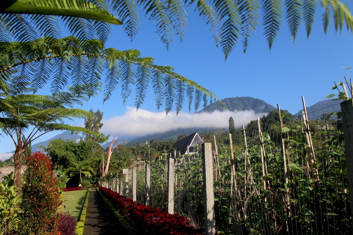 Индонезия продлила запрет на въезд для иностранцев