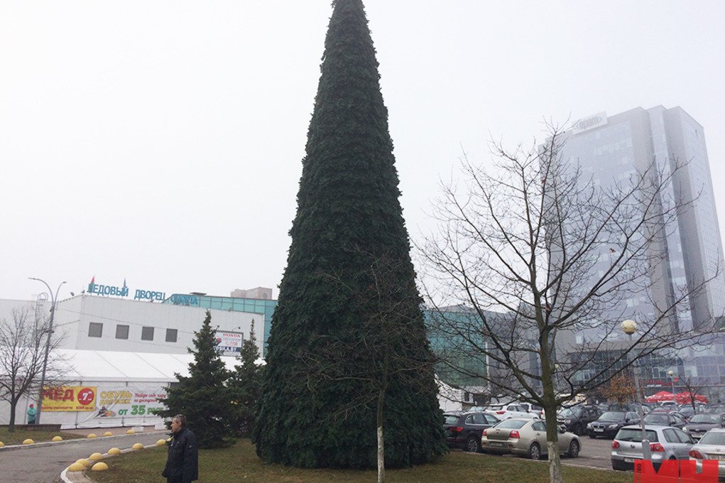 В Минске установили первую новогоднюю ёлку
