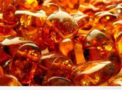 выставка «янтарь – драгоценный камень балтийского моря» выставка «янтарь – драгоценный камень балтийского моря»