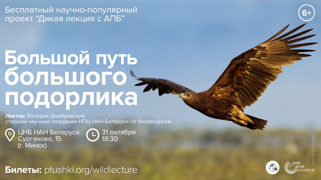 Лекция "Вялікі шлях вялікага арляца"