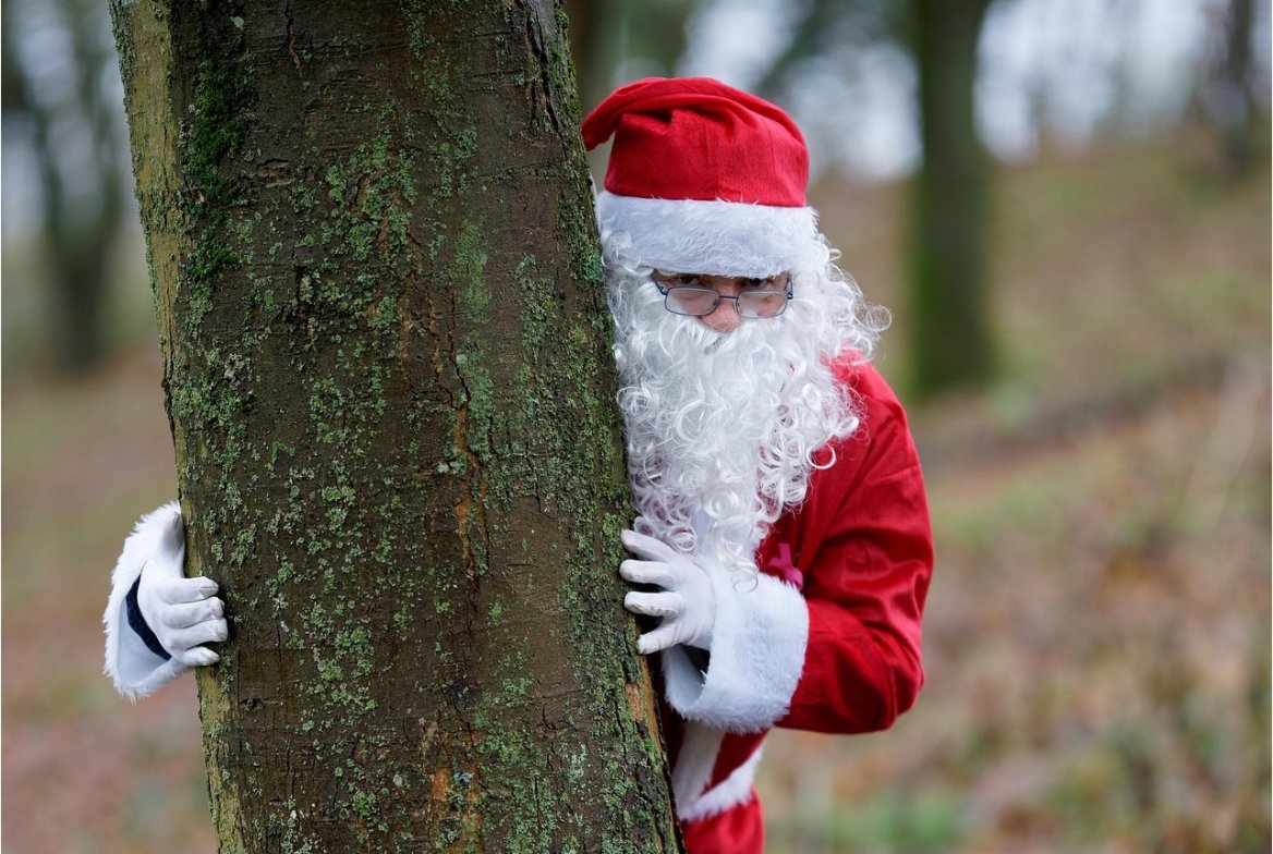 Новогодняя сказка ждёт вас в Беловежской пуще — бронируйте тур, пока места не разобрали!