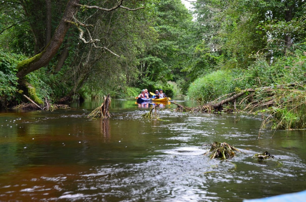 Сплавы на байдарках: спрос растет, инфраструктура – не успевает