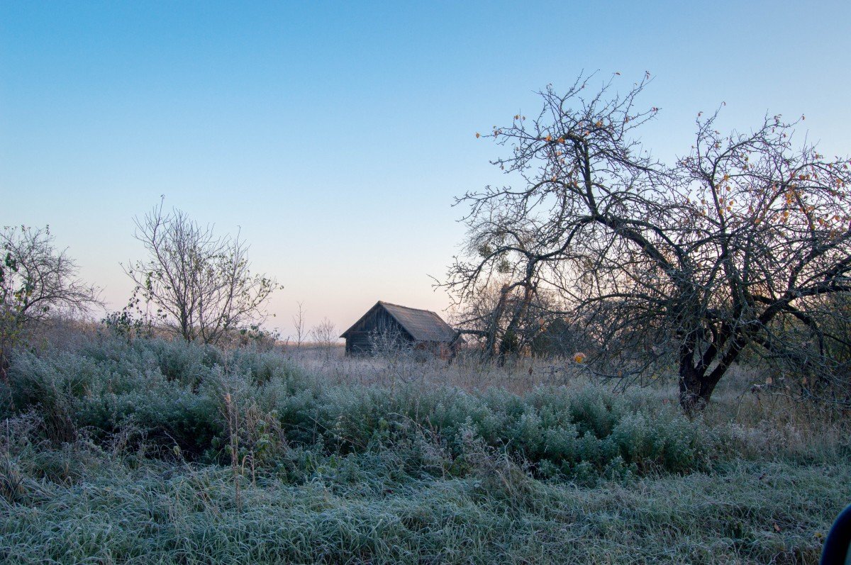 В 78 районах Беларуси запрещено посещать леса
