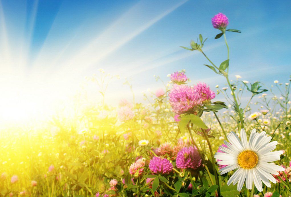 На выходных: «Мир-2017», «Веломисс» и «Купалье» в Александрии