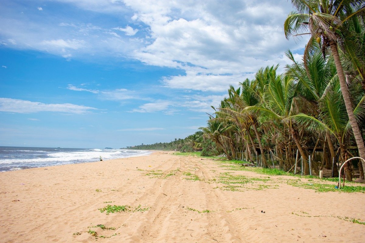 Шри-Ланка открылась для туристов с жесткими ограничениями