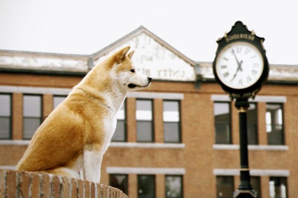 В Минске бесплатно покажут "Хатико". Туда можно прийти с собакой