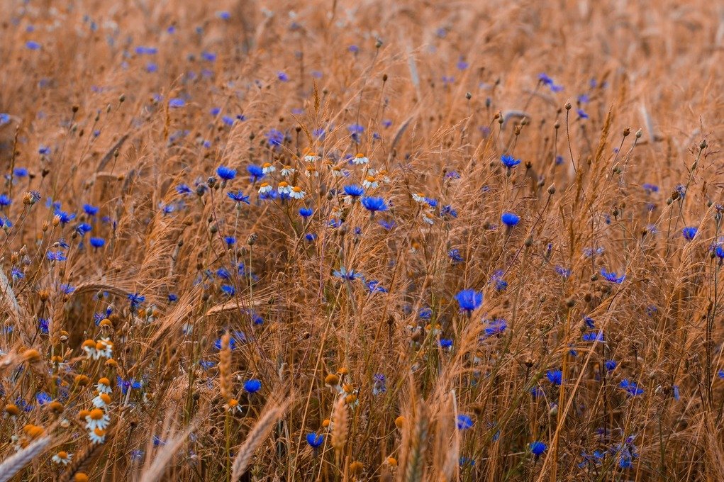 В Минспорта и туризма выбирают туристический бренд Беларуси